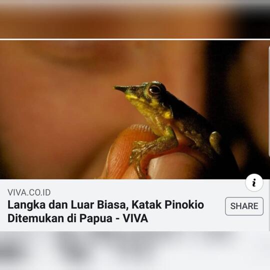 Bikin Hidung Macam Pinokio, Pendukung Jokowi Sebut Cover Majalah TEMPO Keterlaluan