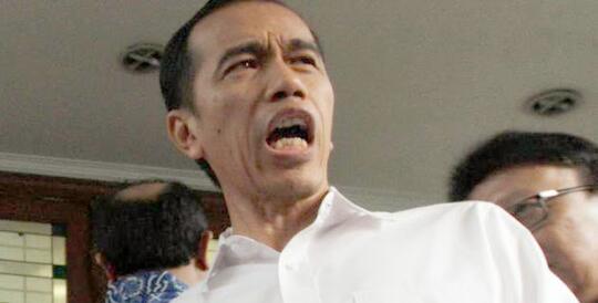 Jokowi Sebut Tak Ada Warga Indonesia Terjangkit Virus Corona
