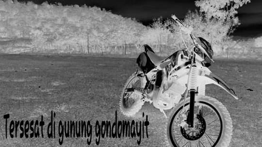 Tersesat di gunung Gondomayit