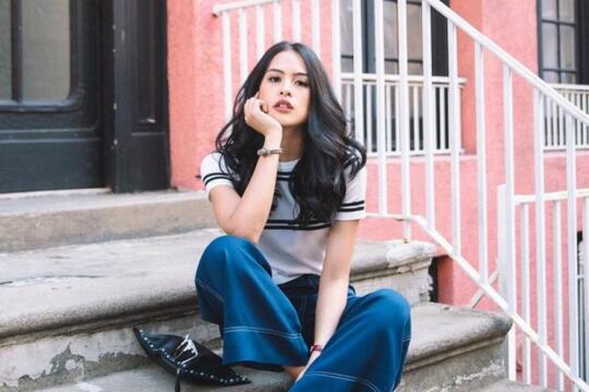 Musisi Indonesia Yang Gak Punya Haters