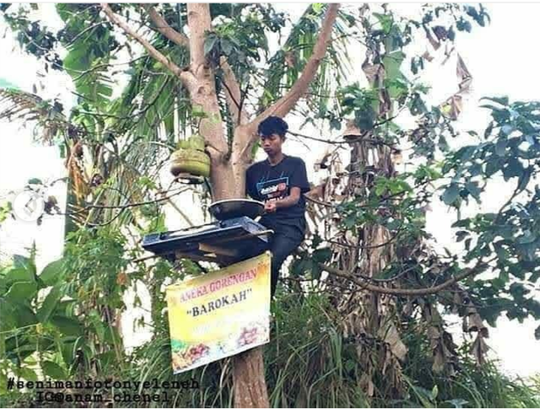 Duh! Nekat Jual Gorengan "DIATAS POHON", Pria Ini Curi Perhatian NETIZEN!