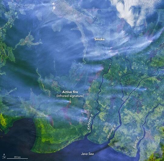 Kebakaran Hutan Kalimantan Dipotret Satelit NASA, Miris Banget!