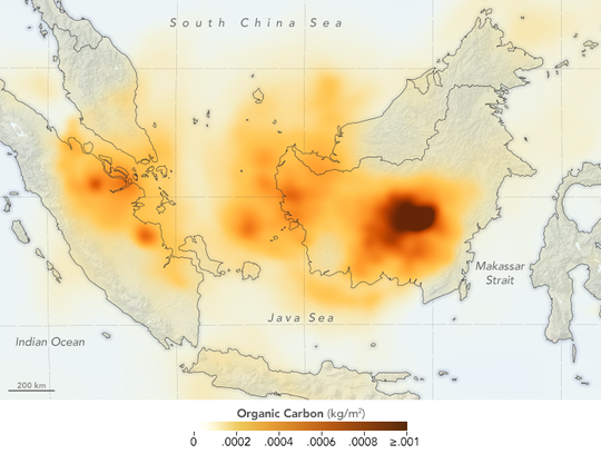 Kebakaran Hutan Kalimantan Dipotret Satelit NASA, Miris Banget!