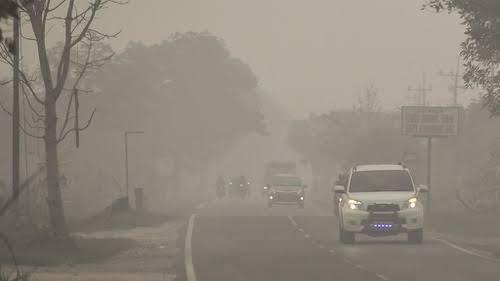VIRAL!! Bra Jadi Masker, Kreativitas Pria Malaysia Di Tengah Kabut Ini Bikin Ngakak