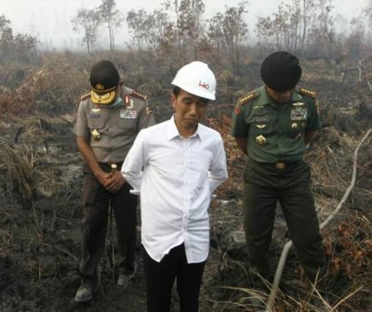 Greenpeace: Paru-Paru Warga Lebih Kotor daripada Sepatu Jokowi