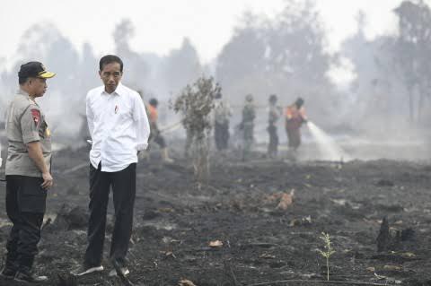 Greenpeace: Paru-Paru Warga Lebih Kotor daripada Sepatu Jokowi