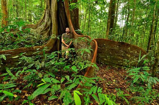 Negara Berbahasa Jawa Ini Berhasil Mempertahankan Hutan 98% dari Luas Negaranya