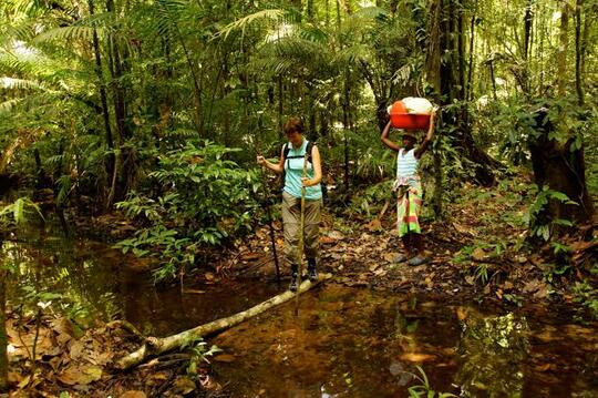 Negara Berbahasa Jawa Ini Berhasil Mempertahankan Hutan 98% dari Luas Negaranya