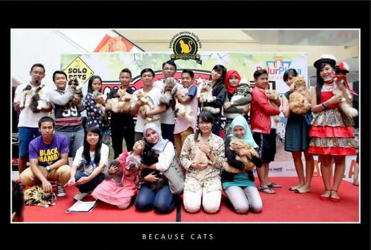 Ini Nih Manfaat Bergabung Dengan Komunitas Pecinta Kucing