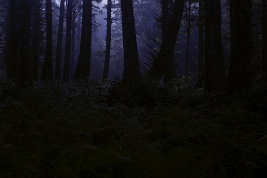 Misteri di Gunung Salak (True Story)