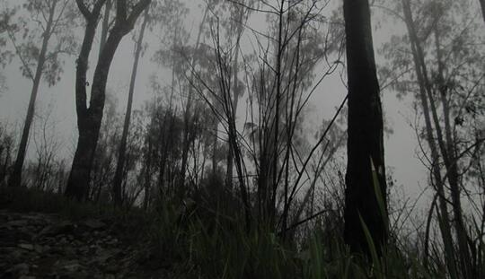 Gadis Pucat Di Gunung