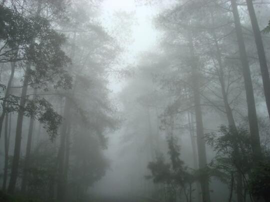 Gadis Pucat Di Gunung