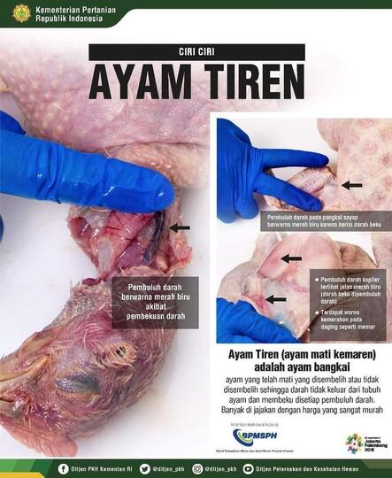 Waspada! Ciri-ciri Daging Ayam Ini Bisa Menyebabkan Kematian