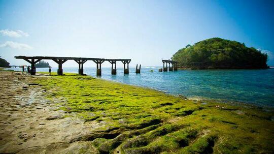 5 Pantai Instagramable Di Malang Raya. Agan Wajib Berkunjung!