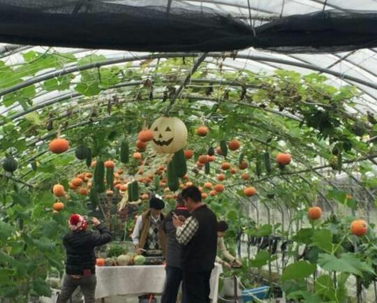 Serunya Perayaan Halloween di Taiwan; Mulai dari Pesta Labu, Sampai Rumah Hantu!