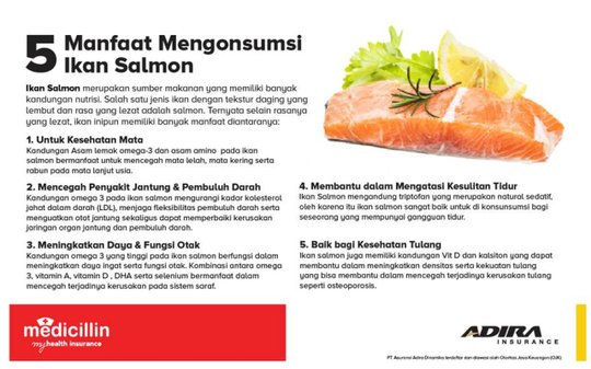 Ikan Salmon, Kehidupan Penuh Perjuangan Dan Pengorbanan