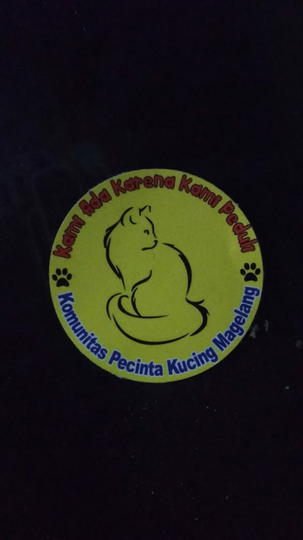 "Cat Lovers" Melakukan Ini Nih, Sama Hewan Kesayangannya