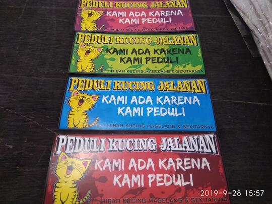 "Cat Lovers" Melakukan Ini Nih, Sama Hewan Kesayangannya