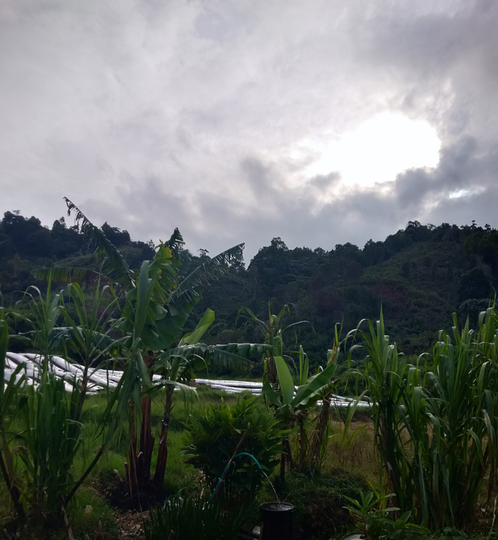 Cerpen Ejawahyuni