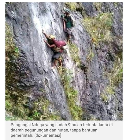 9 Bulan Mengungsi Tanpa Bantuan, 184 Warga Nduga Tewas, 41 antaranya Bocah