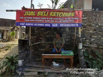 Viral Jual Beli Ketombe Rp 65.000/Kg Di Media Sosial, Berikut Ini Faktanya.