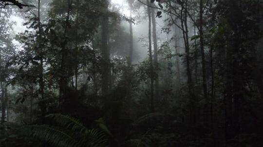 Gunung Arjuno dengan Segala Terornya