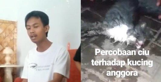 Kucing Dicekoki Ciu (Tewas), UIN Yogya: Pemilik Akun @azzam_cancel Mudik....