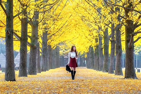 Panduan Buat Agan yang Mau Maksimalkan Solo Traveling ke Korea Selatan