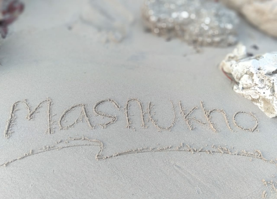Pulau Komodo Tempat Wisata Eksklusif! Apa Alasan Harga Tiket Mencapai 14 Juta?