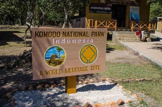Jika Menjadi Destinasi Wisata Eksklusif, Apa yang Harus Dipersiapkan? Nasib Komodo!