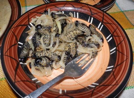 9 Kuliner Terjijik Sedunia tapi Laris Manis | Ada Daging Kotoran Manusia!