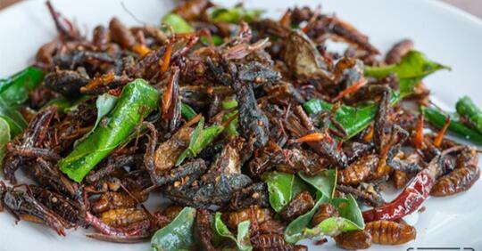 9 Kuliner Terjijik Sedunia tapi Laris Manis | Ada Daging Kotoran Manusia!