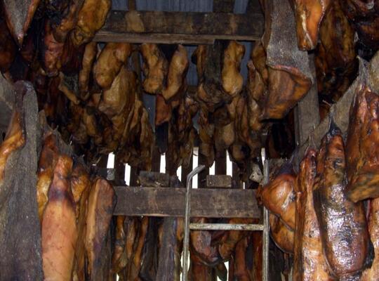 9 Kuliner Terjijik Sedunia tapi Laris Manis | Ada Daging Kotoran Manusia!