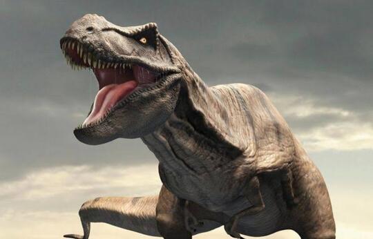 Harganya Miliaran, Lem Aibon Ini Dibuat Dari Liur T. Rex & Gigi Megalodon