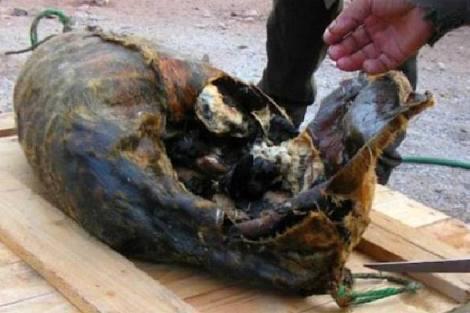 5 Makanan Orang Eskimo yang Unik dan Tak Biasa