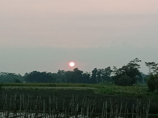 Ilusi Adhi Shakti & Badrakali Yang Mengerikan Dalam Kegaduhan Kucing Di Tengah Malam