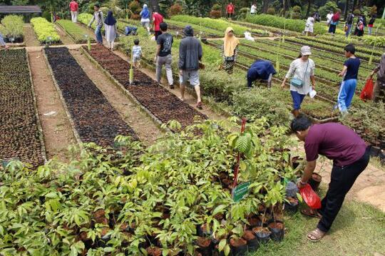 DPRD DKI Hapus Penganggaran Bibit Pohon Senilai Rp30 Miliar