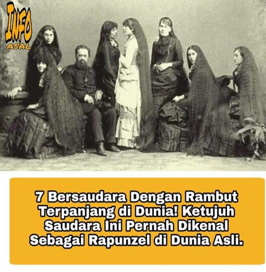 Siapakah Domaein Dongdong?