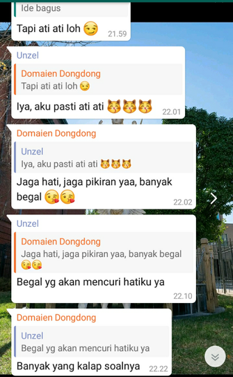 Siapakah Domaein Dongdong?