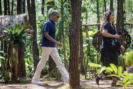 Hutan Pinus dan Rumah Hobbit, Wisata Murah Meriah! Benarkah Obama Pernah Ke Sini?