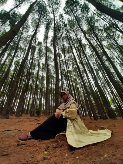 Hutan Pinus dan Rumah Hobbit, Wisata Murah Meriah! Benarkah Obama Pernah Ke Sini?