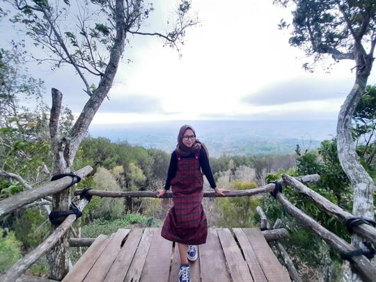 Hutan Pinus dan Rumah Hobbit, Wisata Murah Meriah! Benarkah Obama Pernah Ke Sini?