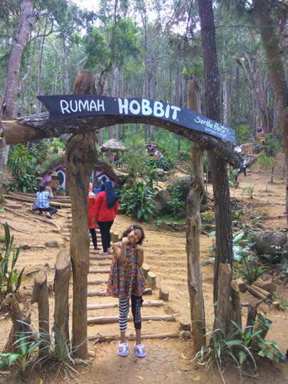 Hutan Pinus dan Rumah Hobbit, Wisata Murah Meriah! Benarkah Obama Pernah Ke Sini?