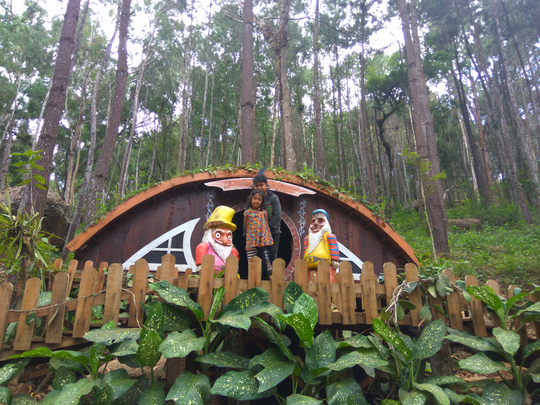 Hutan Pinus dan Rumah Hobbit, Wisata Murah Meriah! Benarkah Obama Pernah Ke Sini?