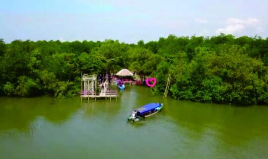 Jelajah Wisata Hutan Payau, Ingin Meniti Jaring Mesra di Tengah Rimbunnya Mangrove?