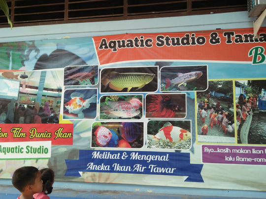 Mau Melihat Bermacam Ikan yang Harga Tiketnya Murah Kebangetan? Disini 500 Perak Saja