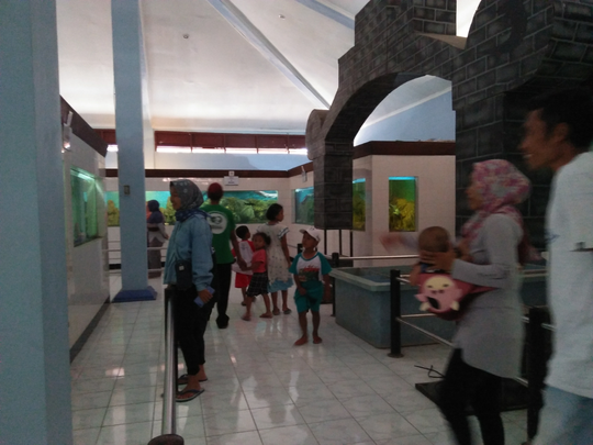 Mau Melihat Bermacam Ikan yang Harga Tiketnya Murah Kebangetan? Disini 500 Perak Saja