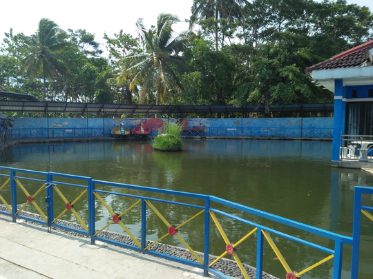 Mau Melihat Bermacam Ikan yang Harga Tiketnya Murah Kebangetan? Disini 500 Perak Saja