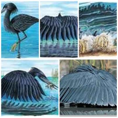 Burung Unik di Dunia Ini Membuat Melongo, Ada yang Paruhnya Mirip Sereal, Loh!