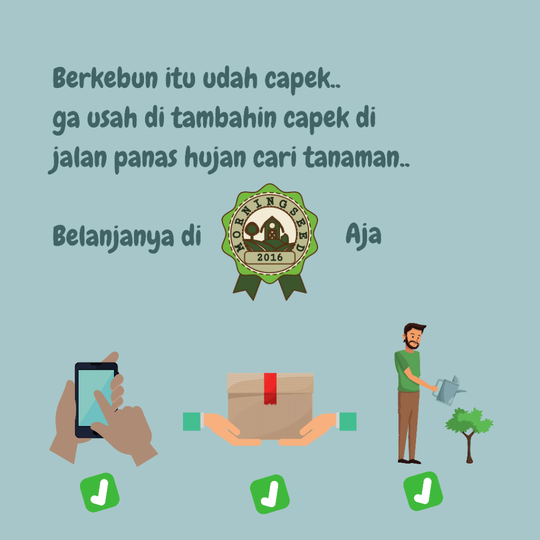 Merawat Tanaman Hias Di Musim Hujan Kaskus